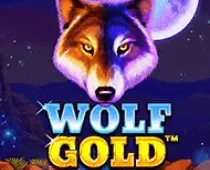 Wolf Gold